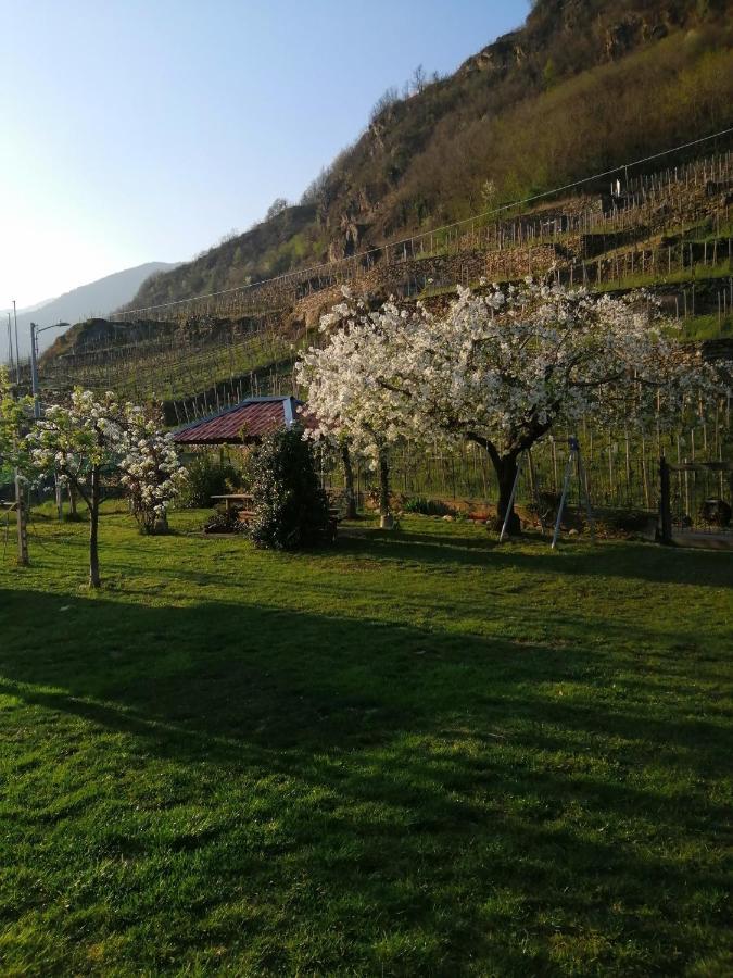Casa Vacanze La Ca Del Cunfec Sondrio Ngoại thất bức ảnh