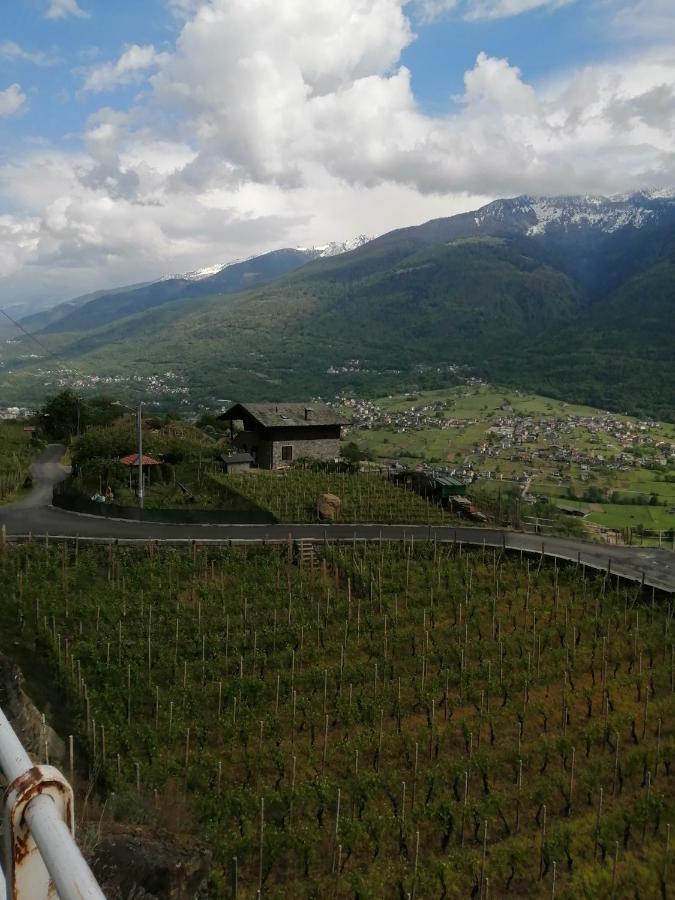 Casa Vacanze La Ca Del Cunfec Sondrio Ngoại thất bức ảnh