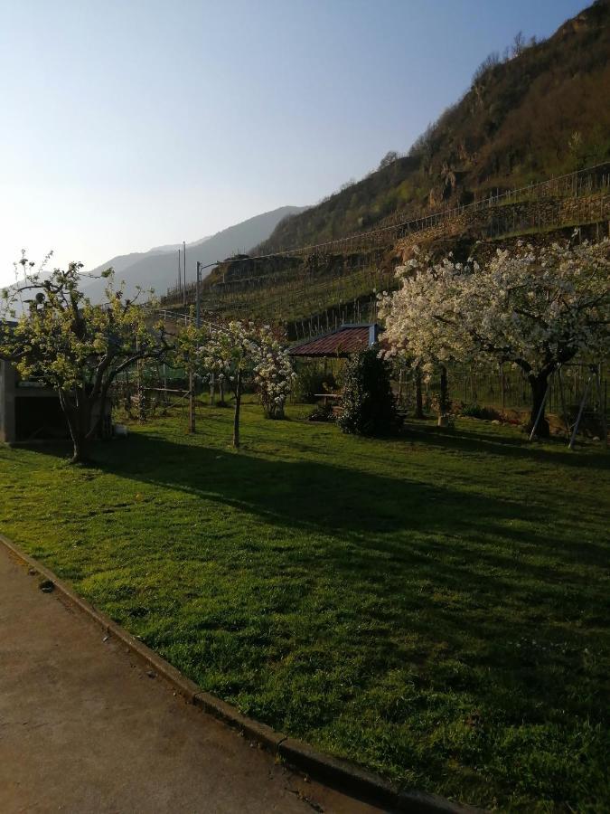 Casa Vacanze La Ca Del Cunfec Sondrio Ngoại thất bức ảnh